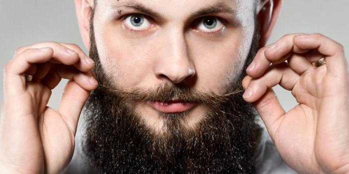 Elegantna moška brada: vrste, značilnosti nege